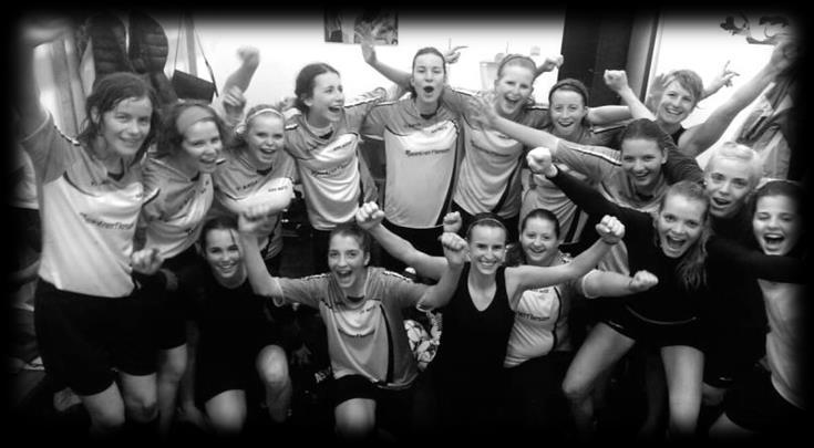 17 S e i t e Natzner Sportblattl Saison 2014/2015 Ausgabe 15 vom 17.05.2015 Klausen Natz 1 : 3 Am letzten Freitag, fand für unsere Damen das vorletzte Spiel der Saison, in Klausen, statt.
