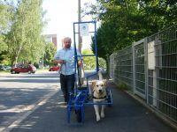 5 2.1.4 Entwicklung der Ausbildungsmethoden für Blindenführhunde und Ausbildner GIESE u.
