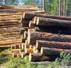 Zentrale Fragestellungen Stofflich Energetisch Fokus: nachhaltige Holzbereitstellung Fokus: ressourceneffiziente Holzverwertung Was ist die unter Beachtung der waldpolitischen Ziele nachhaltig