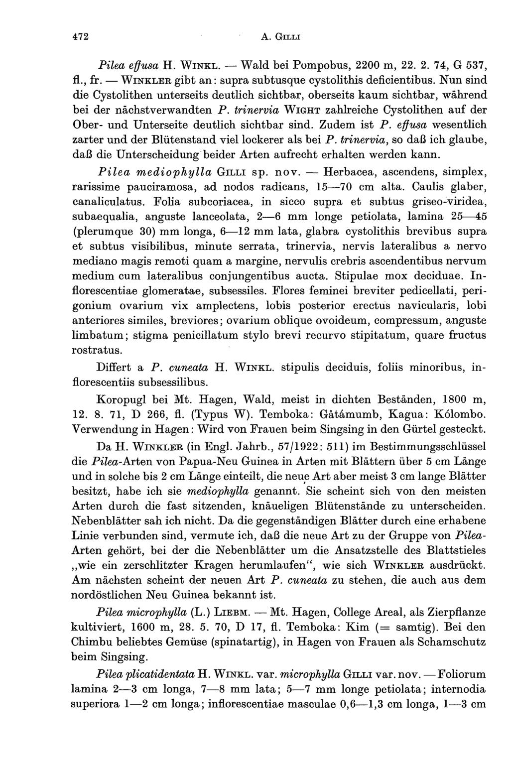 472 A. Pilea effusa H. WINKL. Wald bei Pompobus, 2200 m, 22. 2. 74, G 537, fi., fr. WINKLEK. gibt an: supra subtusque cystolithis deficientibus.