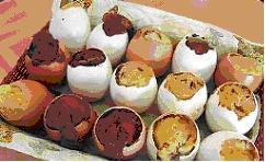 Und hier ein lustiges Ostereier-Rezept: Kinderseiten 13 Man benötigt 10 ausgeblasene leere Eierschalen.