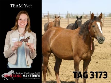 Yvet Blokesch "I am so honored to be a part of the MUSTANG MAKEOVER 2018!