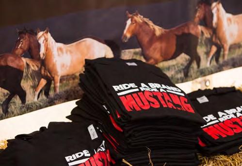 Das MUSTANG MAKEOVER auf einen Blick Die Story 2018: 22 Trainer werden in knapp 100 Tagen 22 wilde Mustangs pferdegerecht und harmonisch trainieren.