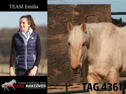 " (und dabei hilft, den Mustang in Deutschland bekannt zu machen)" Emilia Schlotterbeck Ich freue mich sehr als Trainerin beim MUSTANG MAKEOVER 2018 dabei zu sein!