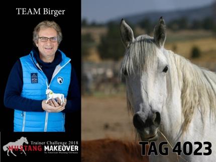 Birger Gieseke "In dem MUSTANG MAKEOVER sehe ich eine großartige Gelegenheit, den Mustang in Deutschland bzw. Europa einer breiten Öffentlichkeit vorzustellen.