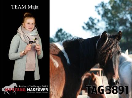 Maya Japp Meine Freude am MUSTANG MAKEOVER teilnehmen zu können ist riesengroß, zum einen, weil ich das MUSTANG MAKEOVER als Rettungsaktion dieser faszinierenden Pferderasse unbedingt unterstützen