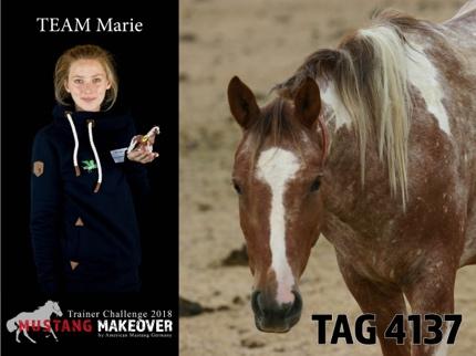 " Marie-Kristien Heger Das MUSTANG MAKEOVER bietet eine wunderbare Möglichkeit, Menschen für den pferdegerechten Umgang zu sensibilisieren und zu zeigen, dass zwang- und gewaltlose Pferdeausbildung,