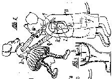 Patentanspruch: Spielfigur, welche durch ein eingebautes, von einem Laufwerk angetriebenes exzentrisches Schleudergewicht in tanzende Bewegung zusammen mit einer zweiten Figur versetzt wird,