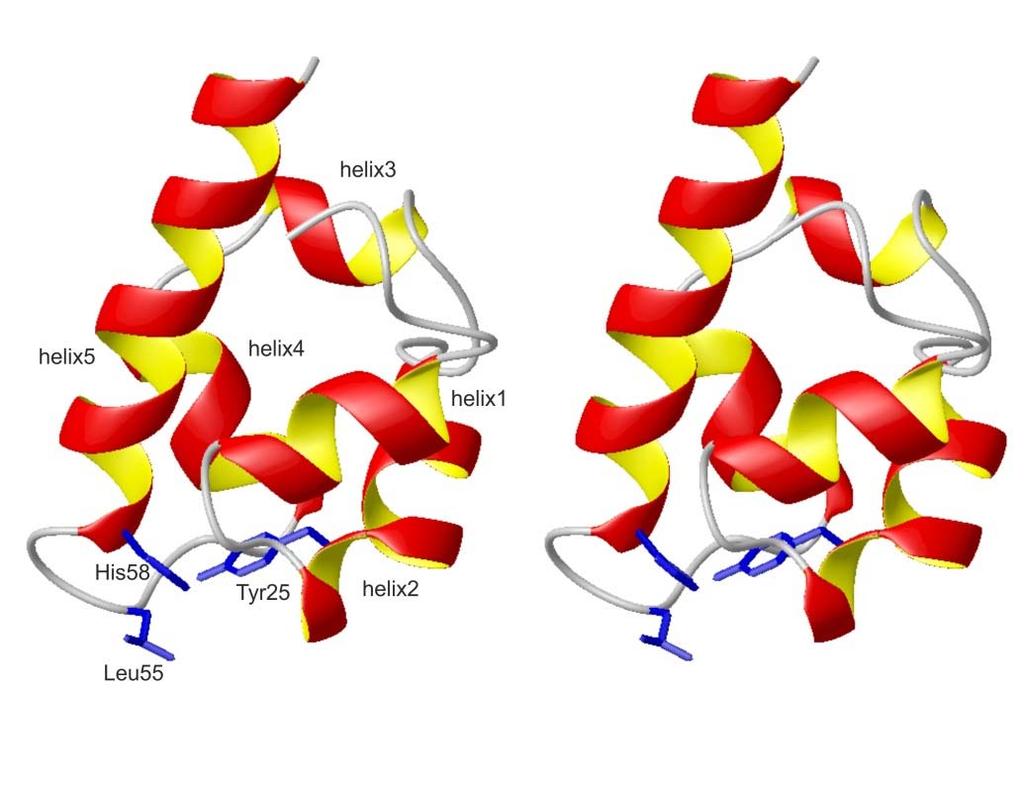 Allgemeine Aspekte der NMR-Spektroskopie 7/94 Bestimmung der 3D Struktur von Proteinen