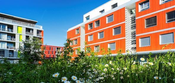Nachhaltige Quartiere: Eikenøtt in Gland (VD) 71 000 m 2 Grundstücksfläche 21 Gebäude 485 neue Wohnungen (ca.