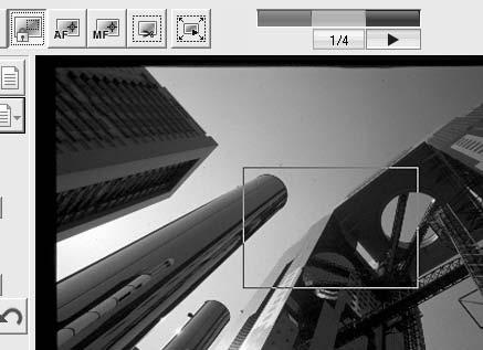 Diese Funktion wird vor allem für High- und Low-Key Aufnahmen mit gleicher Belichtung oder für Belichtungsreihen verwendet, da die Unterschiede bei jedem Bild gut sichtbar werden.