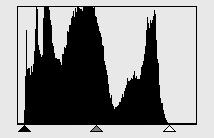 Die Pixelverteilung im Histogramm zeigt, dass nicht der gesamte Bereich der Töne verwendet wird. Im den Bereichen, der den Lichter und Schatten entspricht, sind keine Pixel vorhanden.