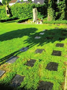 Aus dem Presbyterium Friedhof Isenstedt Immer wieder einmal gibt es Nachfragen über die verschiedenen Grabstätten auf unserem Friedhof in Isenstedt.