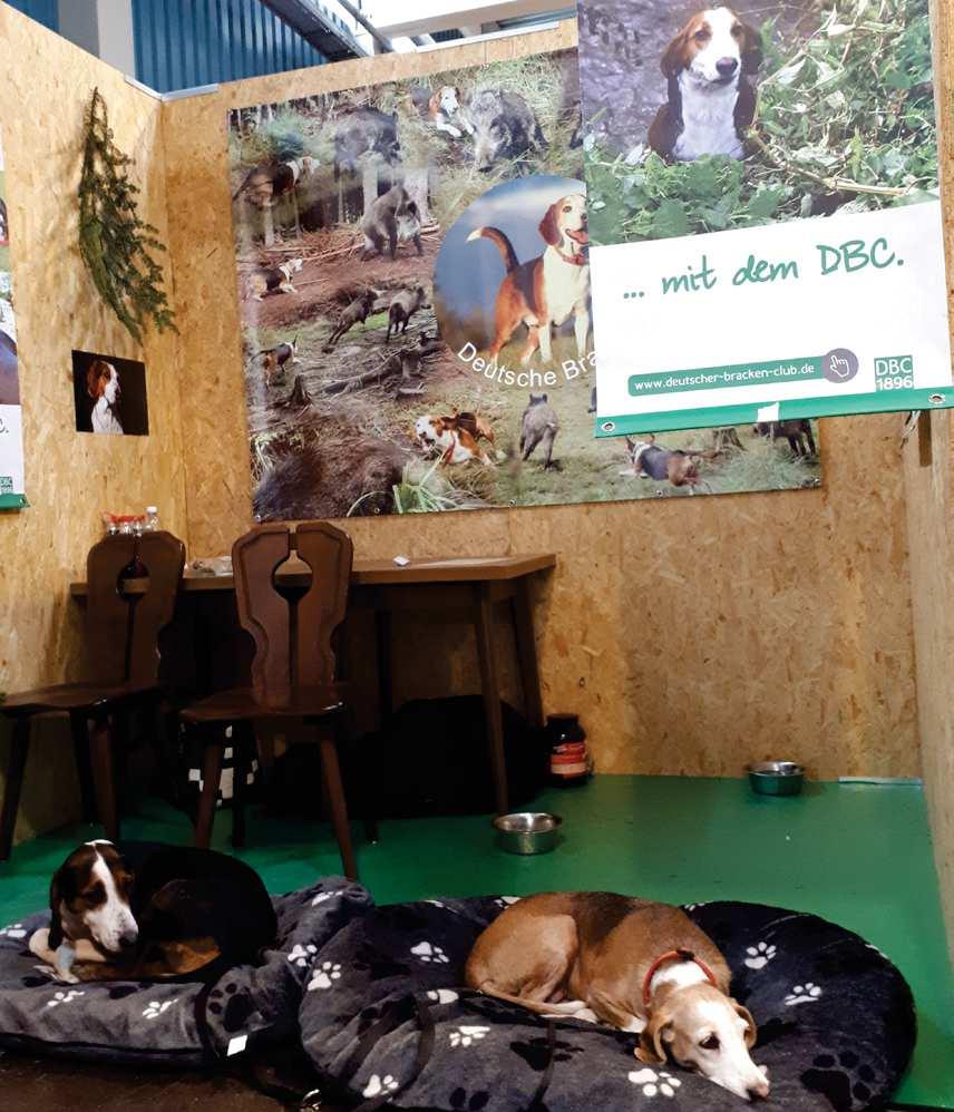 09.-11. Februar 2018 Jagd und Fischerei-Messe in Ulm Nur drei Wochen nach der Messe im gar nicht so weit entfernten Augsburg fand die gleich gelagerte Messe in Ulm statt.