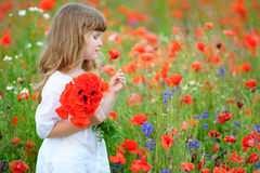 Wir sind für Sie erreichbar Sommerwiese Sommerwiese weit und breit trägt ein buntes Tupfenkleid. Wunderbar - der rote Mohn küsst Kamillenblüten schon.