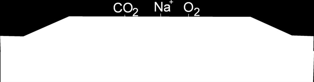 dieser Einflussgrössen kann kein maximaler Widerstand für nicht abschirmende Bedingungen definiert werden Wenn die CO 2 Diffusion gering ist, können auch hohe