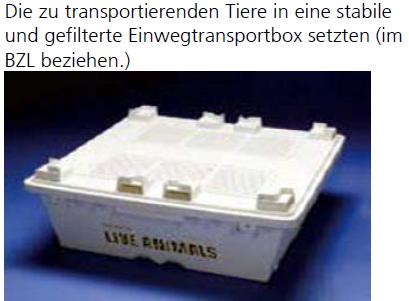 Verpackung von GVO-Tieren für den Transport schweizweit Für UZH: Einwegtransportboxen haben Sie