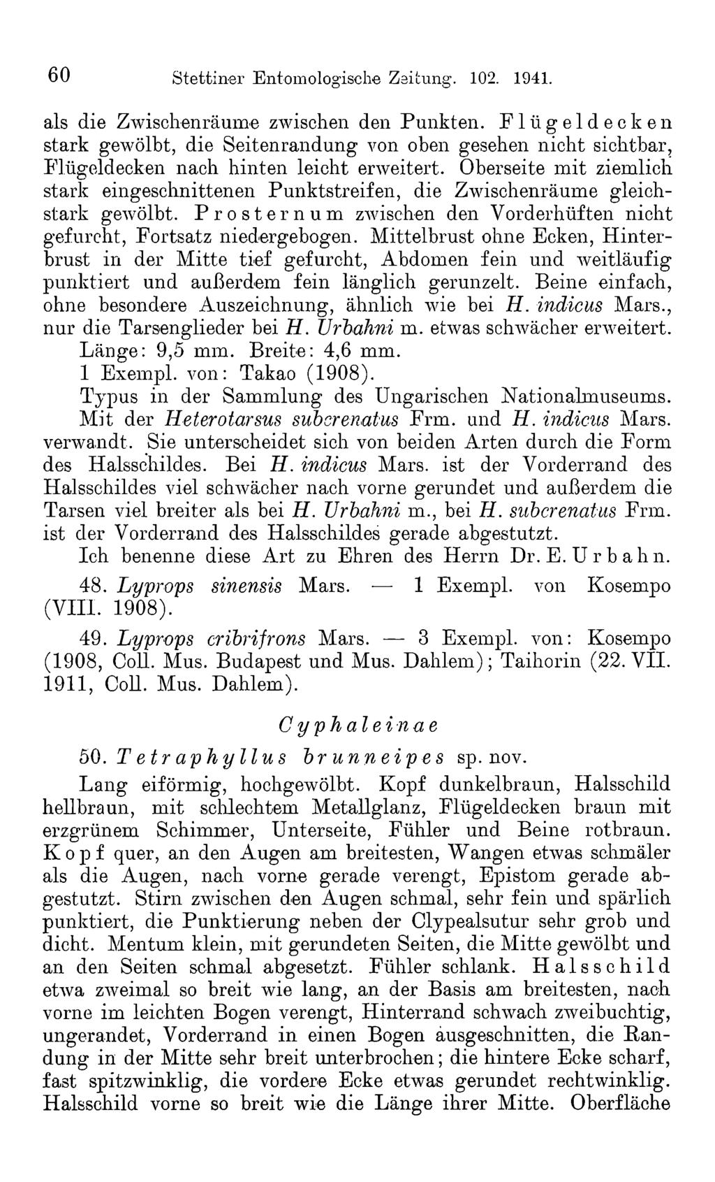 60 Stettiner Entomologische Zeitung. 102. 1941. als die Zwischenräume zwischen den Punkten.