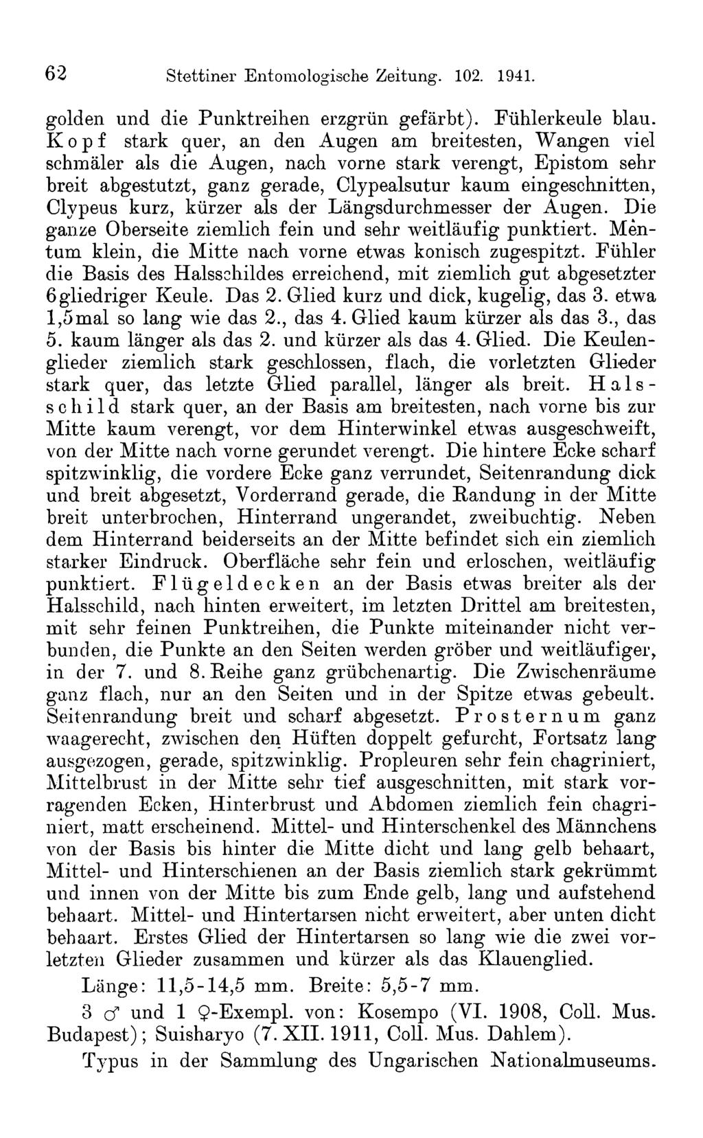 62 Stettiner Entomologische Zeitung. 102. 1941. golden und die Punktreihen erzgrün gefärbt). Fühlerkeule blau.
