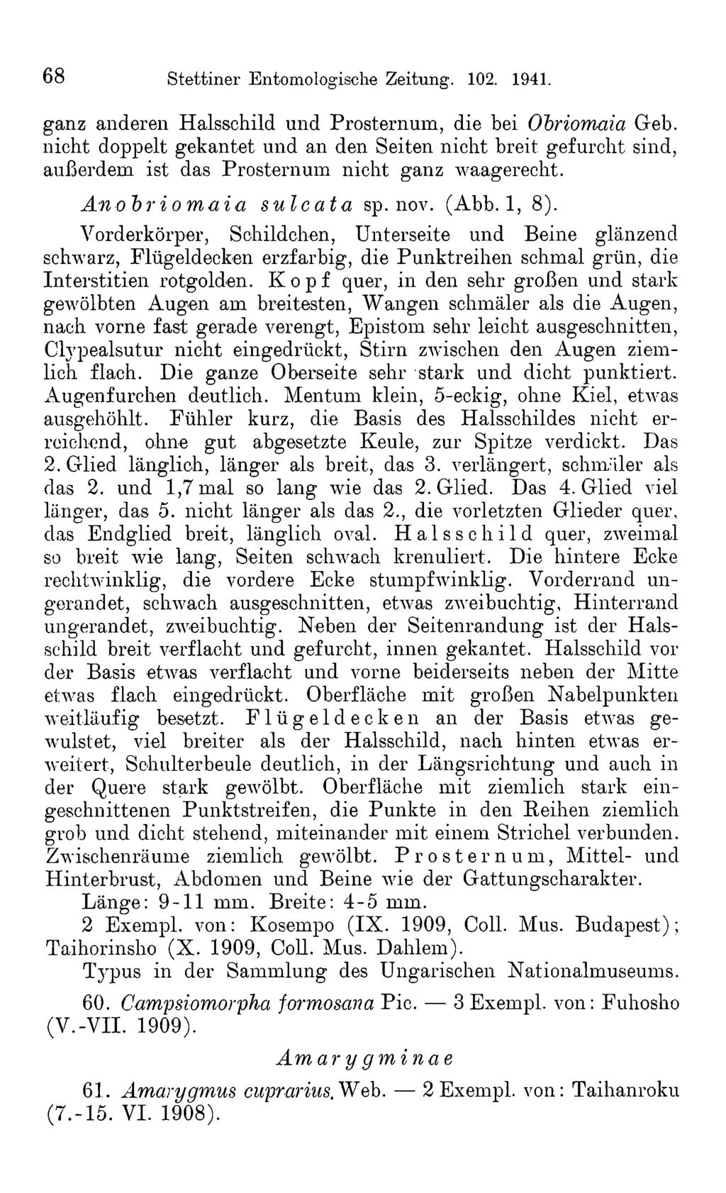68 Stettiner Entomologische Zeitung. 102. 1941. ganz anderen Halsschild und Prosternum, die bei Obriomaia Geb.