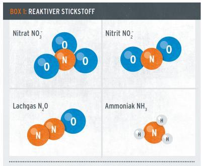 Stickstoff Reaktiver Stickstoff (N r ): alles außer N 2