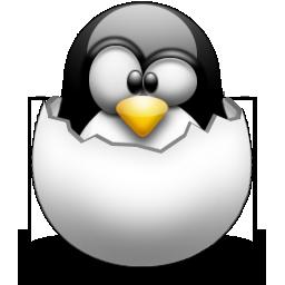 Linux-Installation Für Linux-Neulinge: Installation von Linux in einer virtuellen