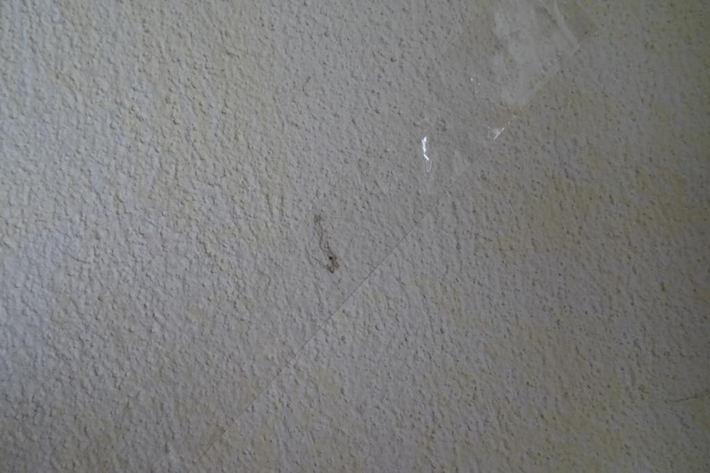Foto 3 Fussel an der Wand ( roter Pfeil ), die vom Labor als Spinnweben bewertet wurden