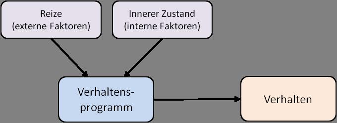 - 5 - Die aktuellen Ursachen sind unmittelbar für das Auftreten und die Art und Weise der Durchführung des Verhaltens zuständig.