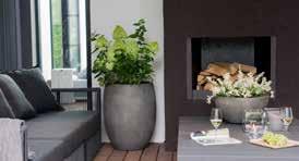 Egal, ob es sich um eine schöne Schale auf Ihrem Gartentisch, eine Trennung, um mehr Privatsphäre zu schaffen, einen eleganten Blumentopf, robuste Pflanzenkübel oder einen stimmungsvollen