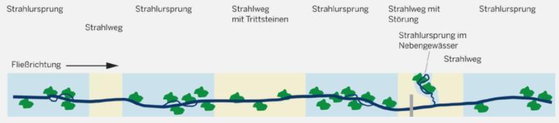Strahlwirkungs- und Trittsteinkonzept - Grundlagen Strahlursprung Strahlweg mit