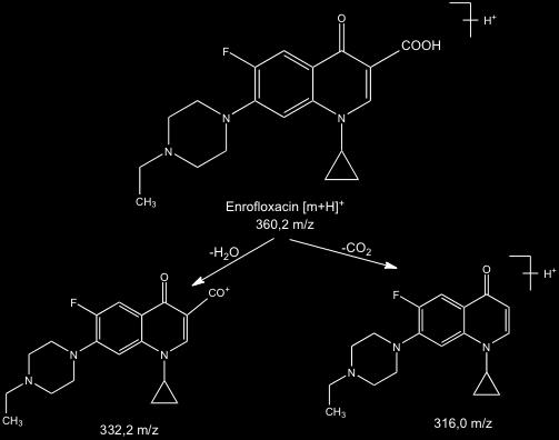 6 Ergebnisse und Diskussion 59 Abb. 18: Fragmentierung von Enrofloxacin im positiven ESI-Modus [228] In Abb.