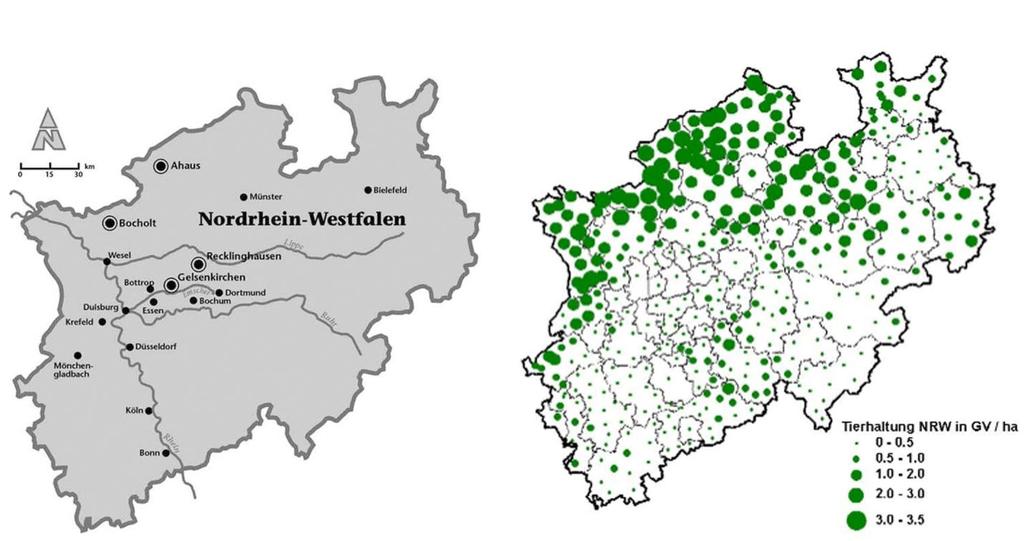 7 Untersuchung zum Antibiotikatransfer aus dem Boden in Getreide 82 7 UNTERSUCHUNG ZUM ANTIBIOTIKATRANSFER AUS DEM BODEN IN GETREIDE Im Rahmen der Untersuchung zum Antibiotikatransfer aus dem Boden