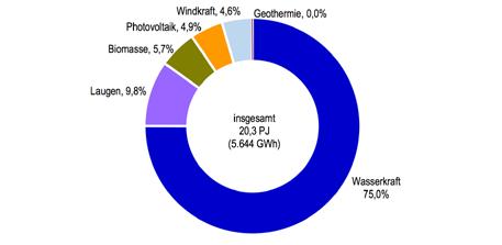 Unter den erneuerbaren Energien entfallen etwa 60,7 % auf die Wärmebereitstellung, 33,5 % auf elektrische Energie und rund 5,8 % auf Kraftstoffe.