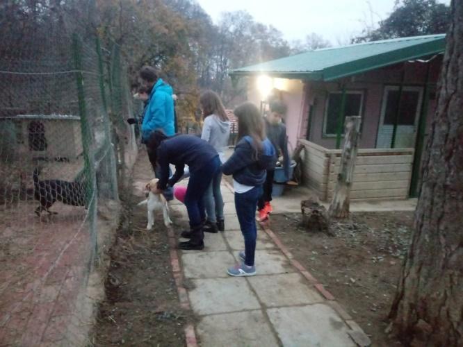 Die internationale Schule kam auch im Dezember wieder und brachte ein paar Spenden und beschäftigte sich mit den Tieren. Wir freuen uns über diese stetigen Besuche die für die Tiere sehr gut sind.