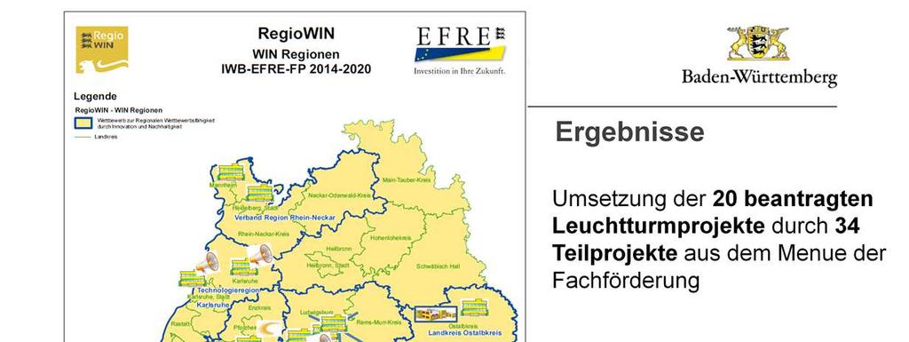 Insgesamt standen 9 verschiedene Maßnahmentypen zur Verwirklichung der 21 Leuchtturmprojekte zur Verfügung 8 davon aus der regulären Fachförderung und ein RegioWIN-spezifisches Produkt