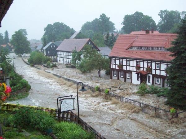 Hochwasserrisikomanagement und naturnahe