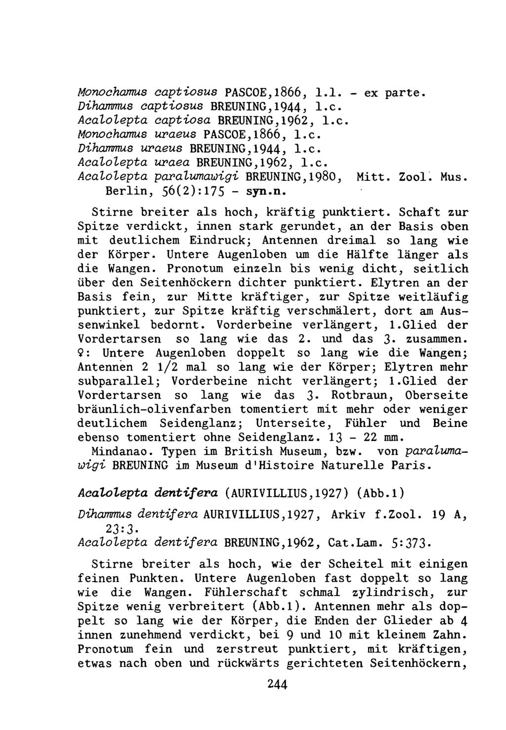 Monochamus captiosus PASCOE,l866, 1.1. - ex parte. Dihammus captiosus BREUNING,1944, I.e. Acalolepta captiosa BREUNING,1962, I.e. Monochamus uraeus PASCOE,l866, I.e. Dihammus uraeus BREUNING,1944, I.