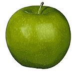 Fettverteilung Apfelform