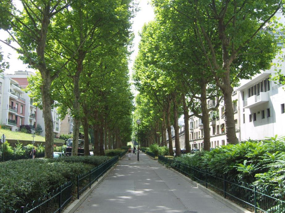 Rue René-Coty, Paris, Frankreich Projekt