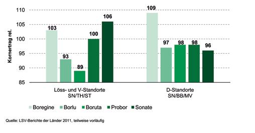 Merkmale BORUTA HAAGS BLAUE BORLU BOREGINE PROBOR SONATE Reife Beide Sorten besitzen eine frühe, gleichmäßige und sichere Abreife auf allen Böden. HAAGS BLAUE ist dabei die früheste Sorte.