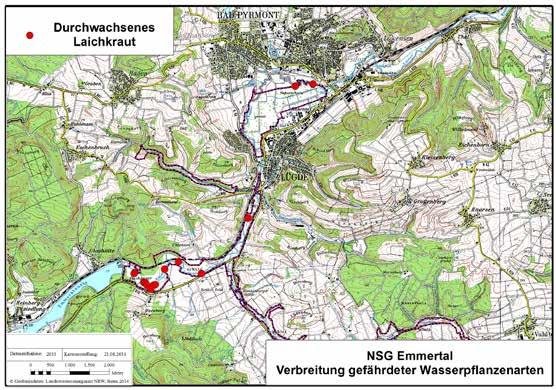 Sonnenburg: Wasserpflanzen in NSG "Emmertal" 87 vor Lügde bekannt 6 (Biologische Station Lippe 1996/1997). Im Jahr 2007 wurden wenige Vorkommen bei Harzberg festgestellt.