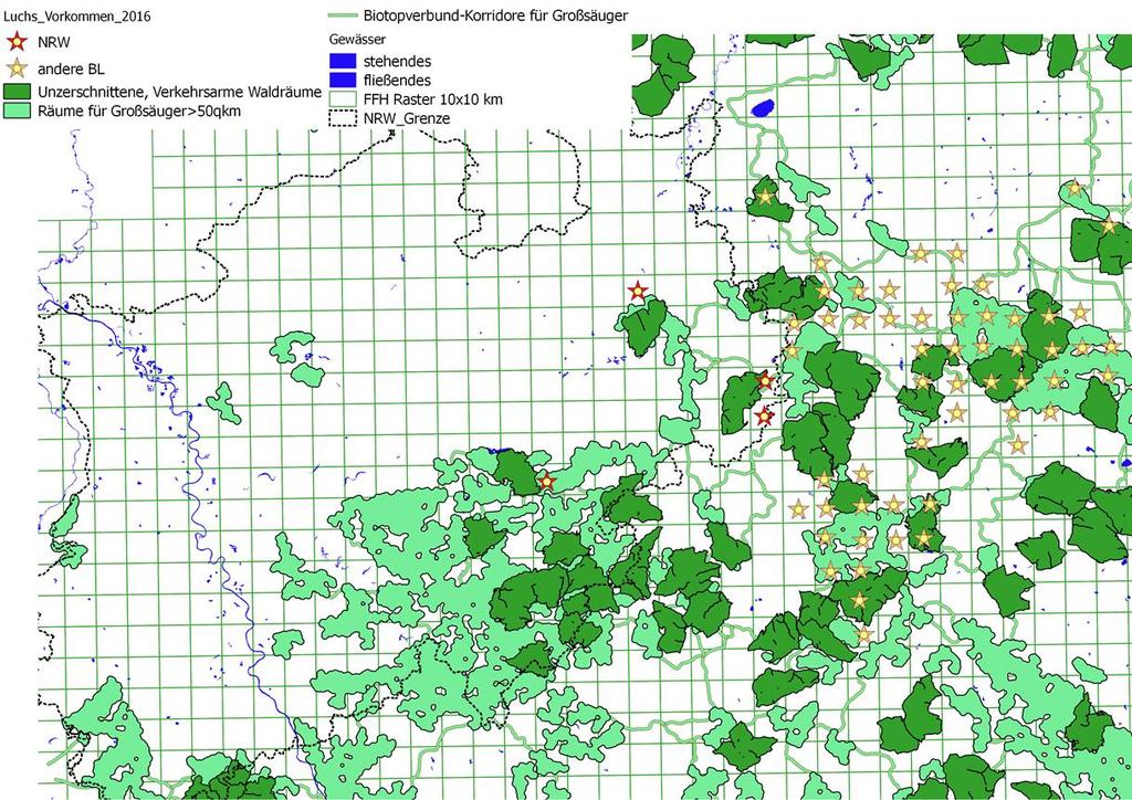 POTENTIELLE VERBREITUNG IN NRW Relevante Größen Reviergrößen von 150-400 km² bei, 50-300 km² bei Waldanteil von ~60 % Waldgröße >99