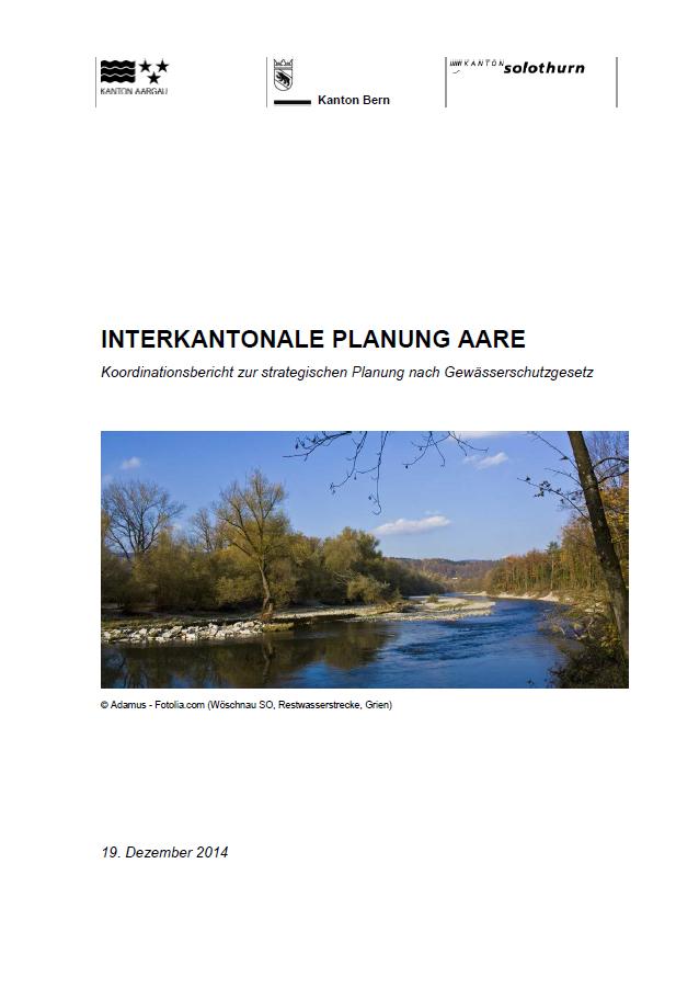 5.2 Synthese-Bericht der interkantonalen Planungen Aare Aus den interkantonalen Planungen Aare resultierten mehrere Berichte.