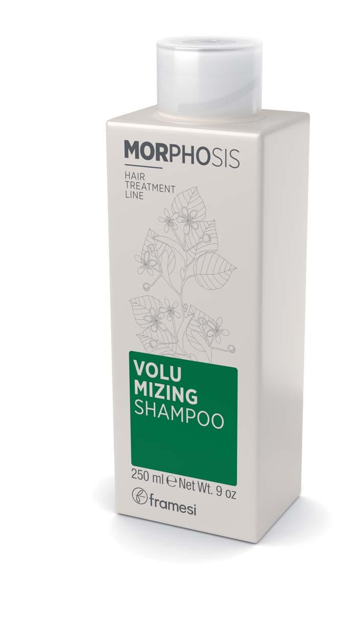 DIE LÖSUNG SHAMPOO Feines Haar braucht für die richtige Reinigung ein Shampoo, das für die Beseitigung des Talgdrüsenfettes und Unreinheiten sorgt, ohne den Schaft anzugreifen.