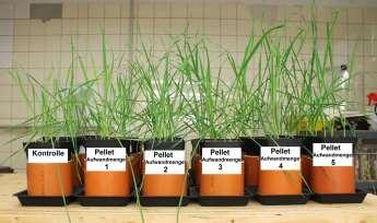 5, 10, 15, 20, 25 t ha -1 TM Prüfpflanzen: Hafer (Avena sativa L.