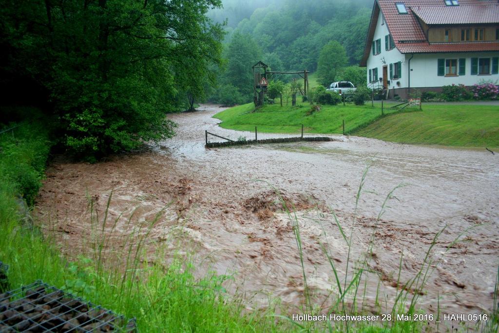 Ende Mai 2016 führte der Höllbach infolge eines lokal auftretenden Starkregens extremes Hochwasser