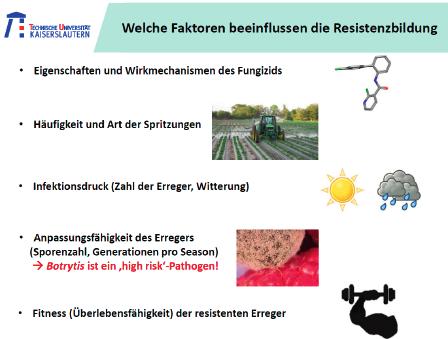 Gartenbau und Sonderkulturen Resistenzbildung vorbeugen Prof. Dr.