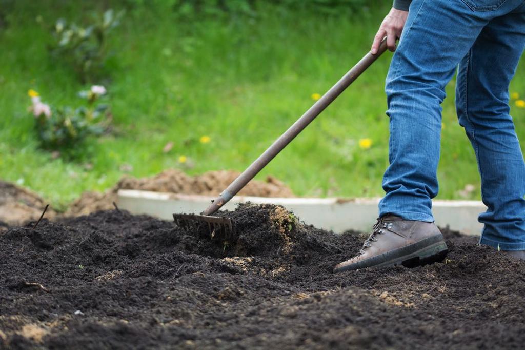 Hinweis: Bestenfalls geschieht das Umgraben im Herbst des Jahres vor der Aussaat des Rasens, wenn der Boden gut getrocknet und krümelig ist.