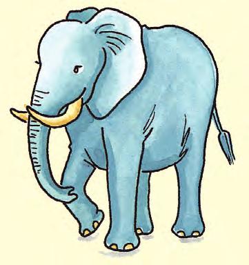 0005 03.01.2011 13870-0 Maus-Abreißkalender 2011 Was machen Elefanten am liebsten?