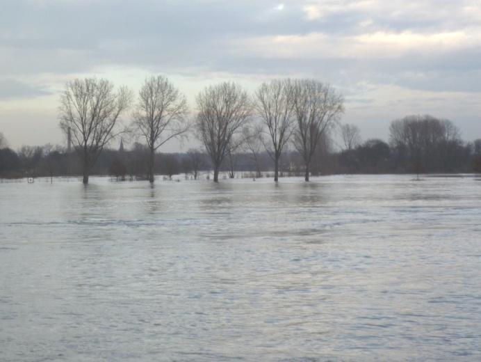 Bild 32: Bild 33: Hochwasser an der Einmündung des Mains Hochwasser am Rhein am Weinprobierstand Eltville in den Rhein (Mainspitze) am 18